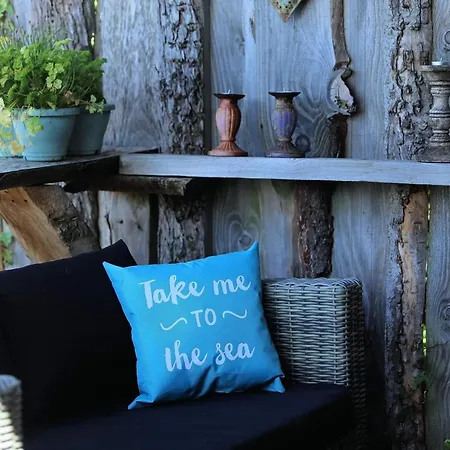 Tinyhouse Noord-holland Honden Welkom Omheinde Tuin 10 Km * Dirkshorn